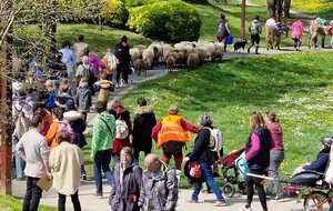 TRANSHUMANCE 2023